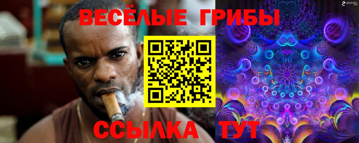 Псилоцибиновые грибы мухоморы  магазин  наркотиков  Качканар  Вход с VPN 